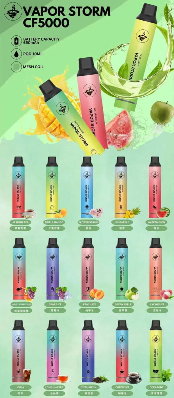 VAPOR STORM 風暴-5000口抛棄式電子煙