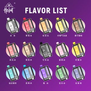 HEBAT喜貝-10000口拋棄式電子煙-可重複充電